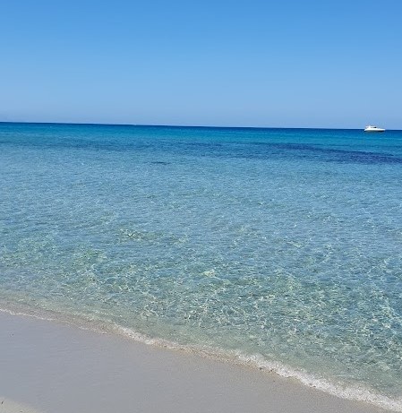 LO YOGA DELLA NUTRIZIONE, RITIRO ESTIVO DI HATHA YOGA IN SARDEGNA